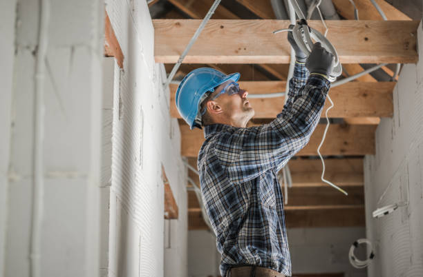 Best Home Electrical Repair  in Webster, FL