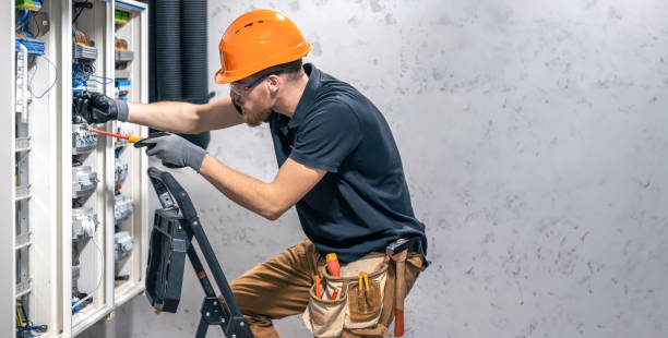 Best Electric Panel Repair  in Webster, FL