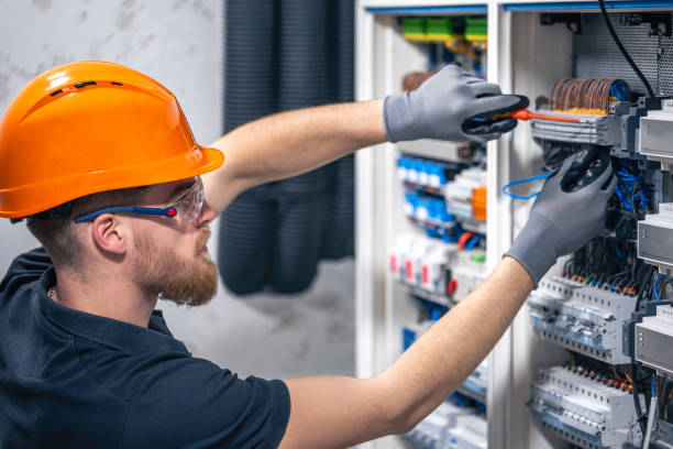 Best Electrical Upgrades for Homes  in Webster, FL