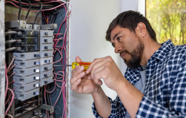 Best Licensed Electrician  in Webster, FL